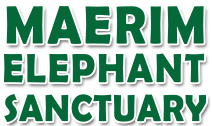 Elephant sanctuary Chiangmai